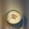 The Crystal Gaze Ring